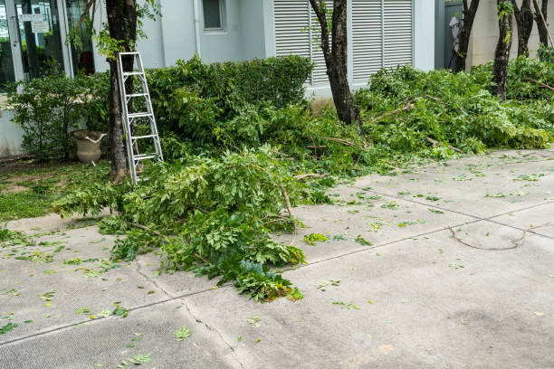 Best Tree Clearing Services  in Seaside, CA